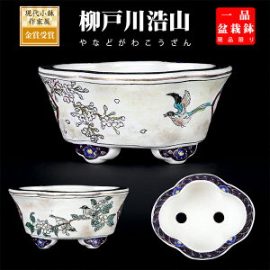 盆栽鉢 柳戸川浩山花鳥図木瓜式鉢 絵付鉢 手造り 手描き 3号 10cm 小品盆栽 ミニ盆栽に最適 現品限り 【送料無料】