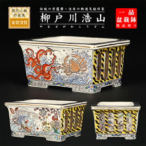 盆栽鉢 柳戸川浩山日本文化図透入長方鉢 絵付鉢 手造り 手描き 4号 12cm 小品盆栽 ミニ盆栽に最適 現品限り 【送料無料】