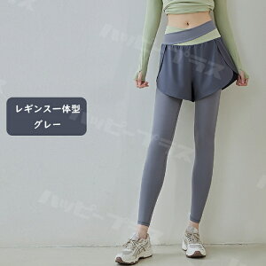 Kpc fB[X Kpc V[gpct KEFA V[gpc Ci[t  fB[X KMX K K jO EH[LO tBbglX Xg