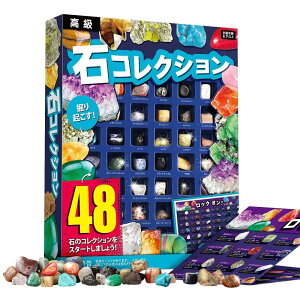 XXTOYS zΕW{48 VRz ΂ ΕW{ NX}X v[g bN~l RNV WFXg[ nȊwLbg 48Zbg AWXg q Mtgi{Łj