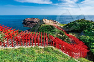 G|bN 1000s[X WO\[pY T_-R (50x75cm) 09-049s ̂t wt _t EPOCH