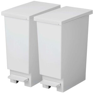 新輝合成 トンボ ネオカラー ゴミ箱 スリム 軽いペダルでサッと開く 20リットル 2個セット ホワイトグレー 幅20×奥行35.5×高さ45cm 蓋付き 分別 日本製