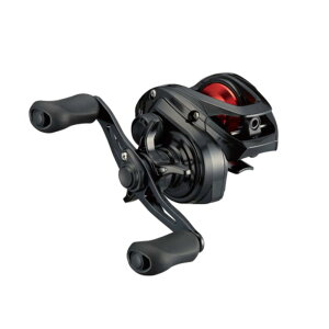 _C(DAIWA) xCg[ 21 PR100