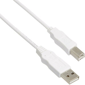 �G���R�� USB�P�[�u�� �yB�z USB2.0 (USB A �I�X to USB B �I�X) RoHS�w�ߏ��� 5m �z���C�g USB2-ECO50WH