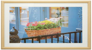 FUJICOLOR �z�� YM-3 �ؒn A3�m�r �ؐ� �x�[�W�� 7841