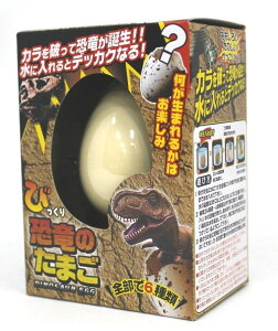 ɓƂ܂狰! т肽܂  206-667