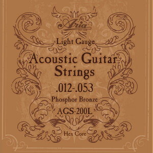 Aria ARIA AA Acoustic Guitar tH[NM^[ Light Cg tHXt@[uY AGS-200L