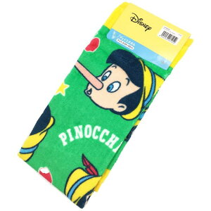 (Hayashi) tFCX^I 34×80cm tBAX smLI FN449800