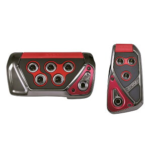 �J�[���C�g �ԗp �y�_���Z�b�g RAZO GT SPEC AT-SS RED RP109RE