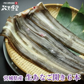 楽天市場 生 穴子の通販