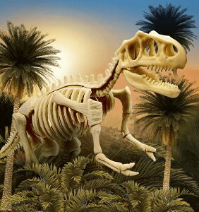 y50~N[|zzz   j̎q ̎q @ g XeSTEX XPg w v[g  q  V  tBMA Δ@  av[g NX}