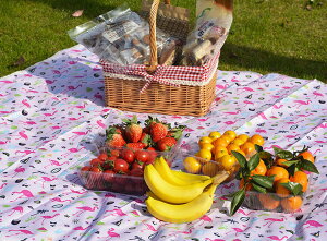 【50円クーポン配布中】 レジャーシート 防水マット ピクニックマット ビーチシート 折り畳み 防水 断熱 防潮 水洗い 軽量 収納簡単 持運び便利 花火大会 運動会 遠足 花見 防災 ビーチ 公園