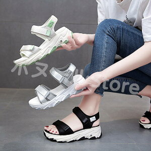 y200~N[|zz z 3F T_ fB[X X|[cT_   傫TCY ؂ tbg ₷  xN X|[c X|T Xbp  x