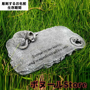 y200~N[|zz z 3F ybĝ  킢 ꒤ Vv^ L̗̑ ̂܂ܓ ̌^ ^TCY cu^ Lp (邨O+)