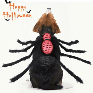 y50~N[|zz z nEB ybg  N  N ybgObY hbOEGA ^ ^ RX`[ ybgp p Lp lR hbO EGA NX}X