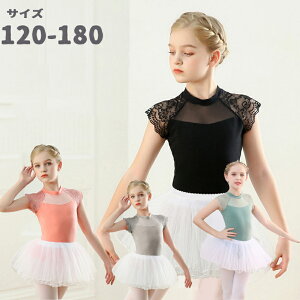 y200~N[|zz z 4F oG s[X ̎q I^[h oG o ̑ \ _Xߑ LbY WjA _XEFA