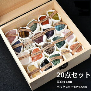 y200~N[|zz z zW{ nȊw RNVZbg ΕW{   v[g VRz AWXg q Mtg