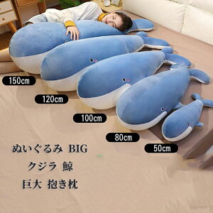 ʂ BIG NW ~ rbO    ߂̂ʂ  YQ Q 킢 ӂӂNbV X j Mtg CeA G    蕨 15