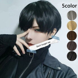 ウィッグ ショート メンズ レディース フルウィッグ コスプレ かつら ストレートヘア 黒 ふわふわ 短い髪 変装 日常用 学生 面接 仕事 ネット付き
