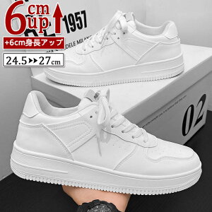 V[NbgV[Y Y  gAbv3cm up3cm q[Abv gup w Xj[J[ PUvC V[NbgV[Y YXj[J[ rWlXC C ^C amC C