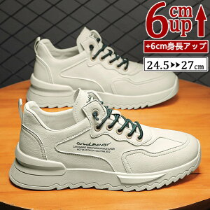 V[NbgV[Y Y  gAbv6cm up6cm q[Abv gup w Xj[J[ PUvC V[NbgV[Y YXj[J[ rWlXC C ^C amC C