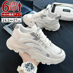 V[NbgV[Y Y  gAbv6cm up6cm q[Abv gup w Xj[J[ PUvC V[NbgV[Y YXj[J[ rWlXC C ^C amC C