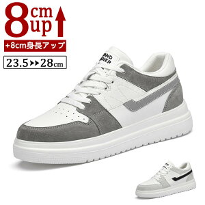 V[NbgV[Y Y  {v Xj[J[ gAbv8cm up8cm q[Abv gup w  C YXj[J[ V[NbgV[Y Y rWlXC C ^