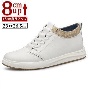 V[NbgV[Y Y  {v Xj[J[ gAbv8cm up8cm q[Abv gup w  C YXj[J[ V[NbgV[Y Y rWlXC C ^