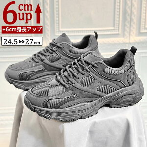 V[NbgV[Y Y  Xj[J[ gAbv6cm up6cm q[Abv gup w  C YXj[J[ V[NbgV[Y Y rWlXC C ^C 