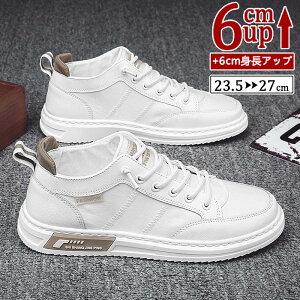 V[NbgV[Y Y  gAbv6cm up6cm q[Abv gup w Xj[J[ PUvC V[NbgV[Y YXj[J[ rWlXC C ^C amC C