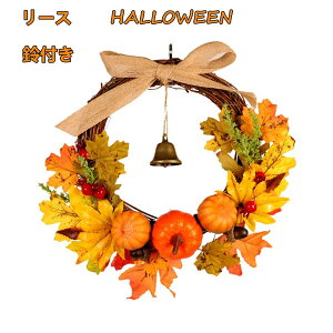 [X ֏H nEB ԏ i`Ǌ|v[g a30cm  t ڂ HF