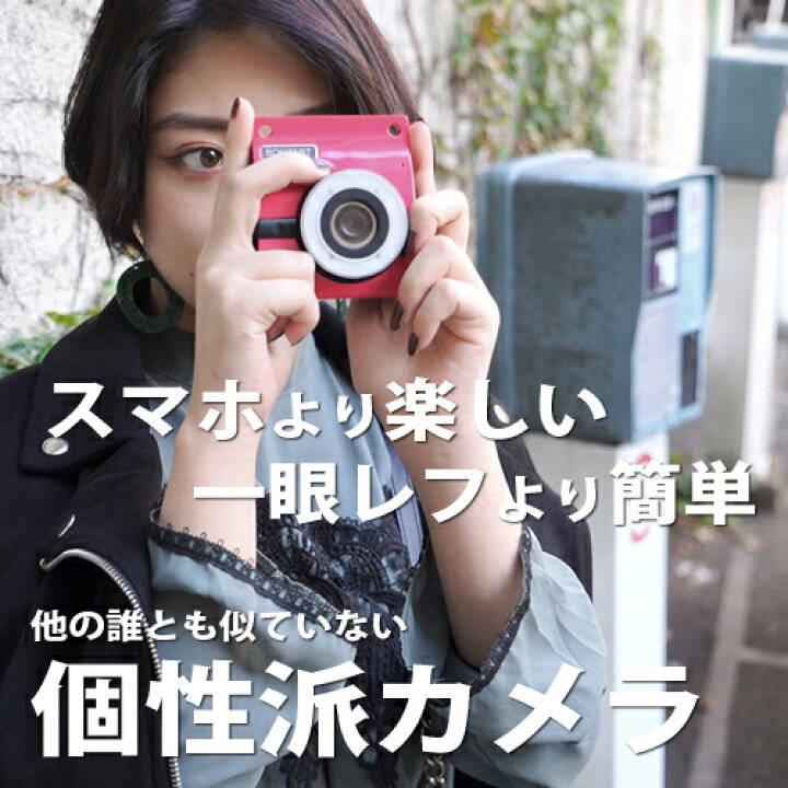 楽天市場】 BONZART ZIEGEL ボンザート ツィーゲル(ツイーゲル） トイ 