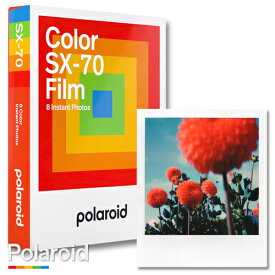 Polaroid Color SX-70 Flim ポラロイド フィルム カラーフィルム SX-70カメラ用