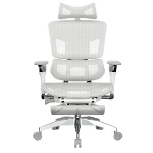 Rasical Chair Elite ���V�J�� �`�F�A �G���[�g �I�t�B�X�`�F�A �Q�[�~���O�`�F�A ���b�V���f�� ���[�N�`�F�A �A�[�����X�g �t�b�g���X�g�t ���N���C�j���O PC�`�F�A ���@�\ �����\