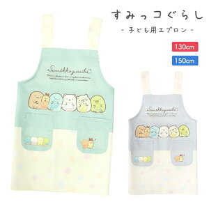 Gv ݂R炵 LbY LN^[Gv LbYGv H^ qǂGv 130cm 150cm ̎q 킢  LbYp qp qǂ wZ wZ