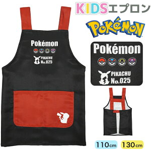 LbY Gv |P sJ`E j̎q ̎q 110 130 LN^[ q LbYGv H^ Ԃ邾 pokemon LN^[Gv w wZ H K ƒ 