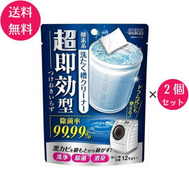 【1000円ポッキリ】【送料無料】【2個セット】超即効型 洗たく槽クリーナー 120g (1袋×2) 洗濯槽クリーナー 洗浄 除菌 消臭 洗浄剤 強力洗浄 ウエルコ ドラム式 縦型 洗濯機掃除 簡単掃除 つけおきいらず 月一掃除 お手入れ 買い置き まとめ買い 送料込み