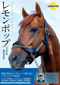 レモンポップ写真集　THE DIRT CHAMP! [ ダーレー・ジャパン ]