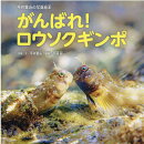 がんばれ！ロウソクギンポ　今井寛治の写真絵本