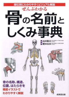 楽天ブックス ぜんぶわかる骨の名前としくみ事典 部位別にわかりやすくビジュアル解説 山田敬喜 本 楽天ブックス ぜんぶわかる骨の名前としくみ事典 部位別にわかりやすくビジュアル解説 山田敬喜 本