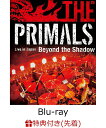 【先着特典】THE PRIMALS Live in Japan - Beyond the Shadow【Blu-ray】(オリジナルステッカー) [ 祖堅正慶, THE PRI…