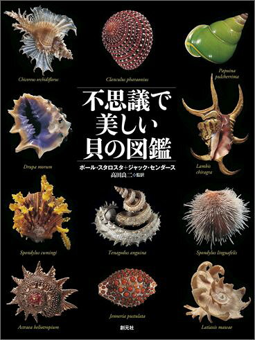 楽天ブックス: 不思議で美しい貝の図鑑 - ポール・スタロスタ 
