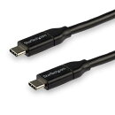 USB 2.0 Type-C ケーブル 3m 給電充電対応（最大5A） USB-IF認証済み