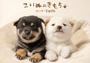 こいぬのきもちカレンダー(2026)
