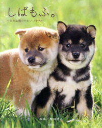 犬好きの友達にプレゼント おすすめの犬写真集ランキング 1ページ ｇランキング