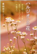 ハルジオンの花