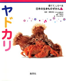 ヤドカリ 育てて、しらべる 日本の生きものずかん 9 [ 奥野 淳兒 ]