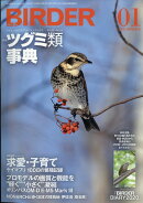 BIRDER (バーダー) 2020年 01月号 [雑誌]