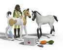 シュライヒ(schleich) 救急セット HORSE CLUB/ホースクラブ 42777