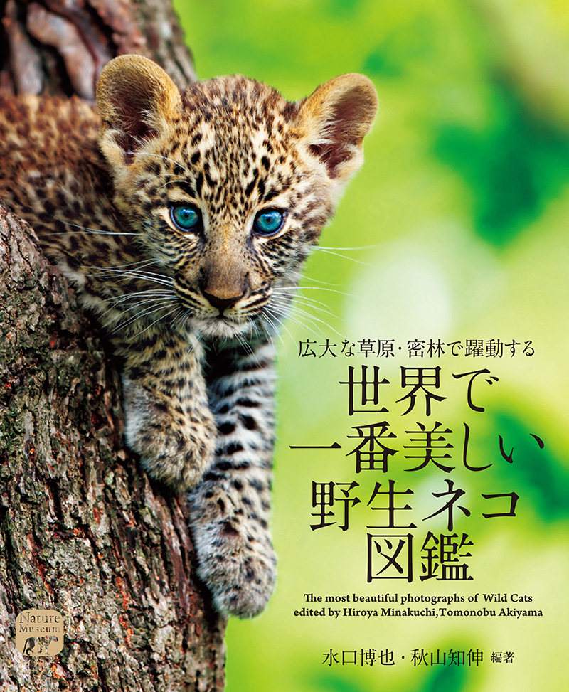 楽天ブックス: 世界で一番美しい野生ネコ図鑑   広大な草原・密林で